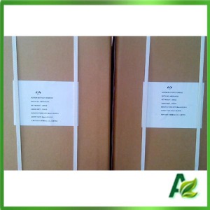 Feed Additives Sodium Butyrate Powder for Animal Attractive