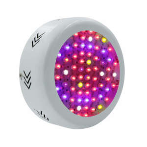 55wwaterproof Lights IP65 LED Grow Lighting with High Quality