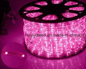 LED Rope Light/Outdoor Light/LED Strip Light/Neon Light/Christmas Light/Holiday Light/Hotel Light/Ba